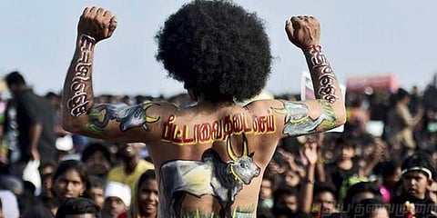 ஜல்லிக்கட்டு வன்முறை விசாரணையில் காவல்துறைக்கு ஆதரவு அதிகம்