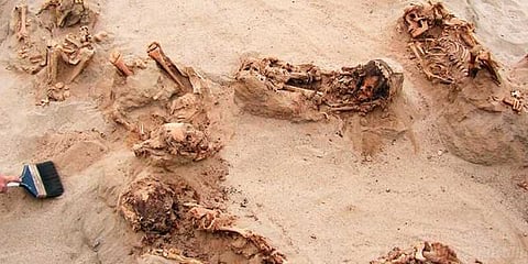 140 குழந்தைகளை பலி கொடுத்த சம்பவம் ! பெரு அகழ்வாராய்ச்சியில் கண்டுபிடிப்பு