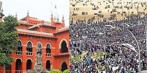 மெரினா போராட்டத்துக்கு இடைக்கால தடை - உயர்நீதிமன்றம்