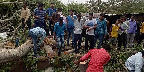 உ.பி., ராஜஸ்தானில் புழுதிப் புயலுக்கு 100-க்கும் அதிகமானோர் பலி
