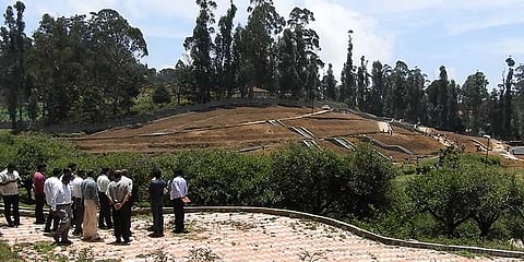 கொடைக்கானலில் புதிய ரோஜா பூங்கா