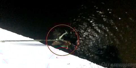 பாலத்தில் கட்டி தொங்கவிடப்பட்ட மனநோயாளி: ஒரு கொடுமையான சம்பவம்