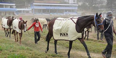 நூற்றாண்டு விழாவால் சேதமடைந்த ஓடுதளம்: 10 நாள் மட்டுமே நடைபெறும் உதகை குதிரை ரேஸ் !