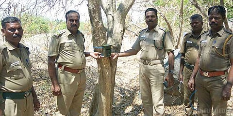 மர்ம விலங்கு? இரவில் கதறும் ஆடுகள்.. அச்சத்தில் உறைந்த கிராமம்!