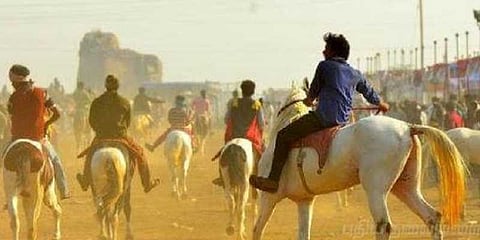 குதிரை பேரத்தை பற்றி உங்களுக்கு தெரியுமா..?