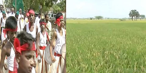 திருவாரூரில் களைகட்டிய நெல் திருவிழா!