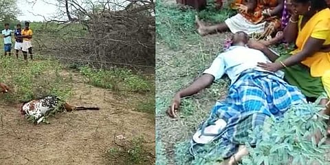 வளர்த்த ஆட்டின் உயிரைக்காக்க தன் உயிரை பறிகொடுத்தவர்!