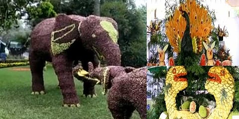 குளு குளு குன்னூரில் பழக் கண்காட்சி !