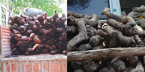 ஒரே நாளில் ரூ.60 லட்சம் செம்மரக்கட்டைகள் பறிமுதல்