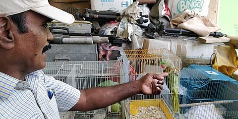 கிளிகளுக்காக வீட்டை கொடுத்தவர் இன்று வீடு கிடைக்காமல் திண்டாடுகிறார்?