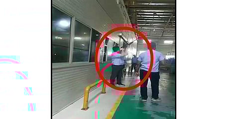 புறாக்களை சுட்ட ஊழியர்: தனியார் ஆலை மீது ப்ளூ கிராஸ் புகார்