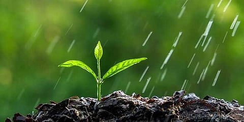 சுற்றுச் சூழல் தினமும்; சூழல் காக்க போராடும் தமிழகமும்..!