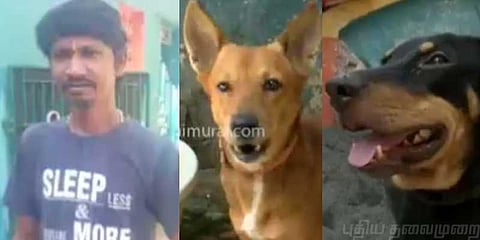 அரிவாளால் வெட்டியவர்களிடமிருந்து வளர்த்தவரை காப்பாற்றிய நாய்கள்!