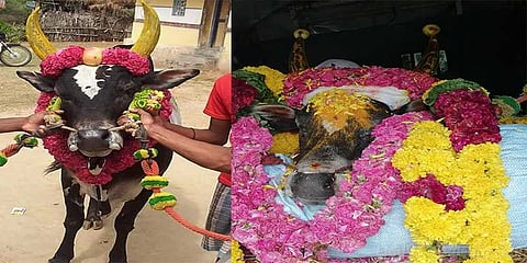 யார் இந்த மறைக்காளை ? ஊரே சேர்ந்தழுத சோகம் !!