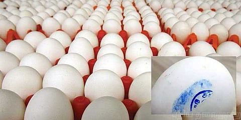 மளிகை கடைகளில் விற்பனையாகும் சத்துணவு முட்டைகள் - மெகா ஊழலா?