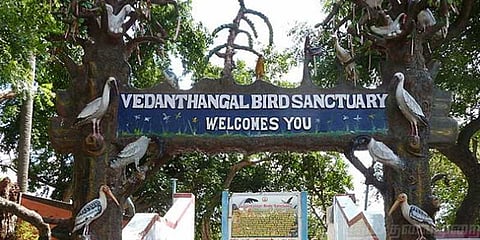 வேடந்தாங்கல் பறவைகள் சரணாலயம் இன்று முதல் மூடல்