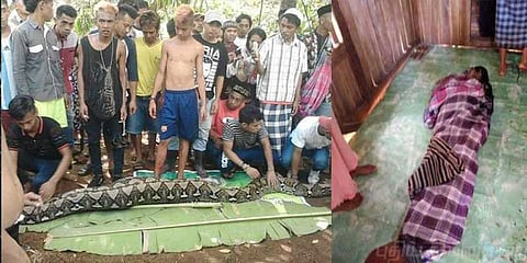 மலைப் பாம்பு வயிற்றில் கண்டெடுக்கப்பட்ட பெண் ! பகீர் படங்கள்