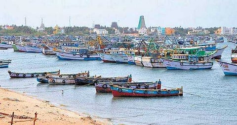 வயிற்றுப் பிழைப்பு - உயிரைப் பணயம் வைத்த மீனவர்கள்