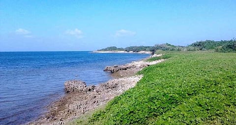 கெடுபிடி காட்டும் வனத்துறை - குறைந்து போன மீன்வளத்தால் ஏக்கத்தில் மீனவர்கள்