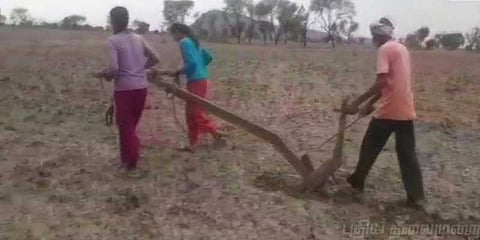 மகள்களை ஏரில் பூட்டி நிலத்தை உழுத விவசாயி