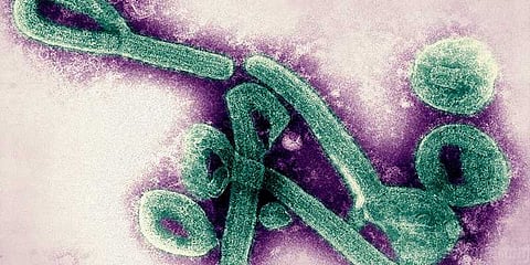 கோவையில் பரவும் மர்ம காய்ச்சல் ?