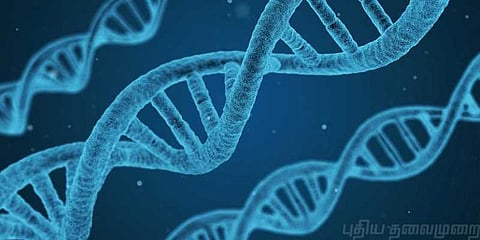 கண்டுபிடிக்கப்பட்டது கேன்சரைக் கட்டுப்படுத்தும் மரபணு