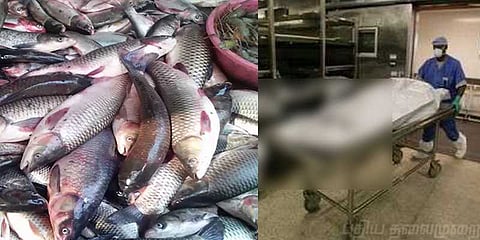 மீன் மார்க்கெட்டில் தொடரும் ஃபார்மலின் சோதனை