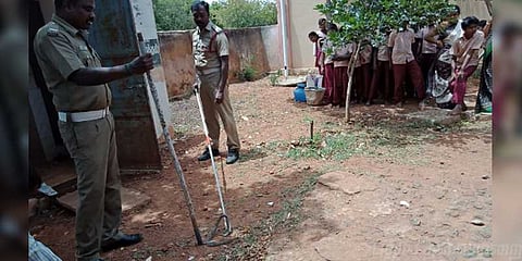 பள்ளிக்குள் புகுந்த விஷப் பாம்பு - அலறி ஓடிய மாணவர்கள்..!