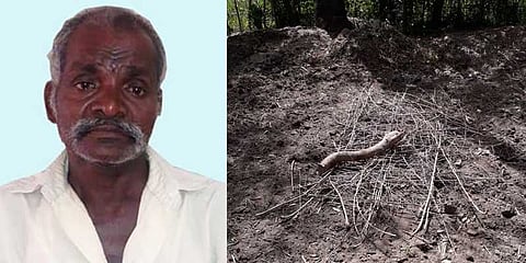 மனைவியுடன் சேர்ந்து தாயைக் கொன்று கொல்லைபுரத்தில் புதைத்த மகன்