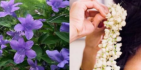 பூவையர் மறந்த டிசம்பர் பூக்கள்