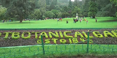 இரண்டாம் சீசனுக்கான தயாராகும் உதகை தாவரவியல் பூங்கா..!