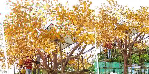 கோவையை கலக்கும் புதிய வைஃபை மரங்கள்