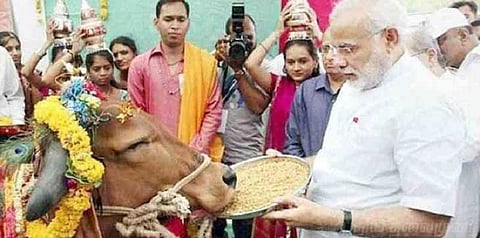 ருவாண்டாவுக்கு 200 நாட்டுப் பசுக்களை வழங்குகிறார் பிரதமர் மோடி