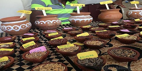 பாரம்பரிய விதைத் திருவிழா..!