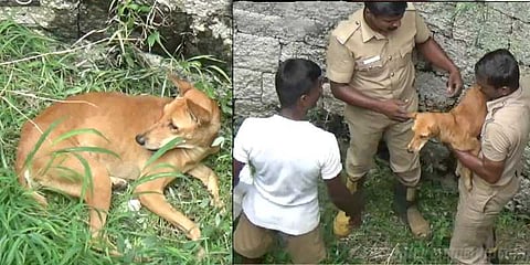 "மனிதாபிமானம் இன்னும் அழிந்து விடவில்லை" ஒரு நெகிழ்ச்சி சம்பவம்