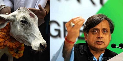 “நாட்டில் முஸ்லீம்களை காட்டிலும் பசுக்களே பாதுகாப்பாக உள்ளன” - சசிதரூர்