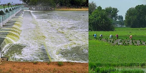 “காவிரிப் பாயும் மாவட்டங்களும்... பயன்பெறும் விளைநிலங்களும்”