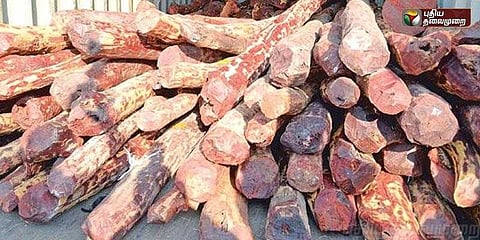 திருப்பதியில் 4 தமிழர்கள் கைது : வானத்தில் சுட்டுப்பிடித்த ஆந்திர போலீஸ்