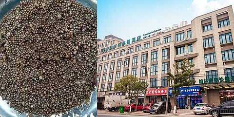 56 வயது பெண்ணுக்கு தொடர் முதுகுவலி : சோதனையில் அதிர்ச்சியடைந்த மருத்துவர்கள்