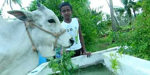 நம்மாழ்வார் வழி நடக்க ஆசைப்படும் சிறுவன்.. கால்நடை வளர்ப்பில் தீராத ஆர்வம்..!