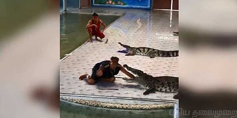 முதலை வாயில் கையை விட்டா இதான் நடக்கும் ! வைரல் வீடியோ