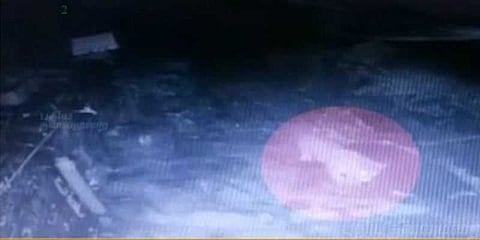 குடியிருப்புப் பகுதியில் சுற்றித்திரியும் சிறுத்தை : அச்சத்தில் மக்கள்