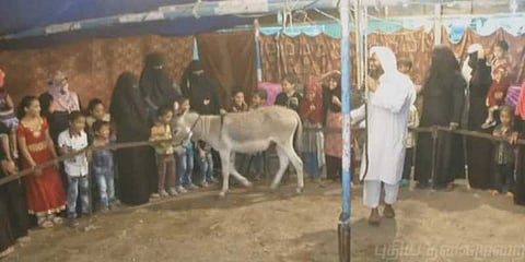 மக்களின் எதிர்காலத்தை கணிக்கும் ஜோதிட கழுதை..!