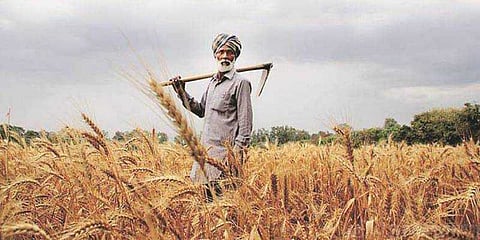 மொத்த வருமானத்தையும் கடனாக செலுத்தும் விவசாயிகள்