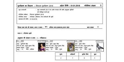 வாக்காளர் பட்டியலுக்கு வந்த மான், புறா, யானை மற்றும் சன்னி லியோன்!