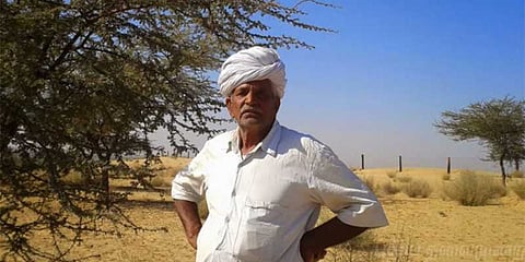 50 வருடங்கள், 27,000 மரங்கள் : ஒரு ரியல் ஹீரோ !