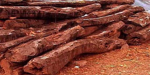 ஆந்திராவில் தமிழர் ஒருவர் சுட்டுக் கொலை !