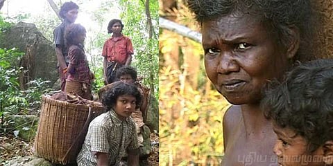 சோழநாய்க்கர் இன மக்களும்.. மலையும்.. - மீளாத சோகம்