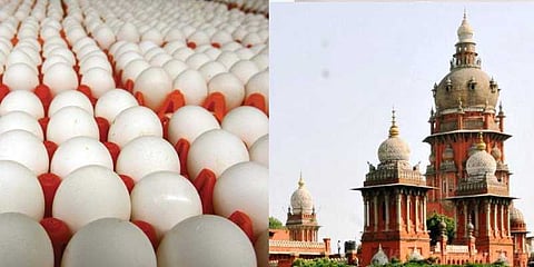 சத்துணவு முட்டை கொள்முதலுக்கு இடைக்கால தடை - உயர்நீதிமன்றம்