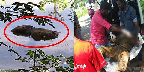 மறுபடி மறுபடி குளத்தில் மிதக்கும் சடலங்கள்: போலீஸ் தீவிர விசாரணை